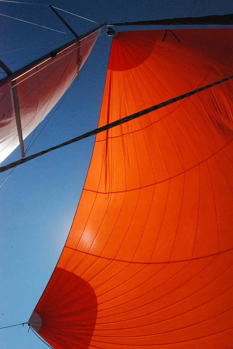 Hanse 508 (ID=1431) - фото 8