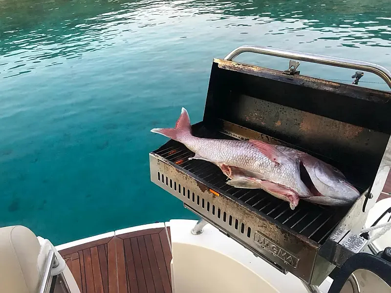 Sealine S38 (ID=14660) - фото 9