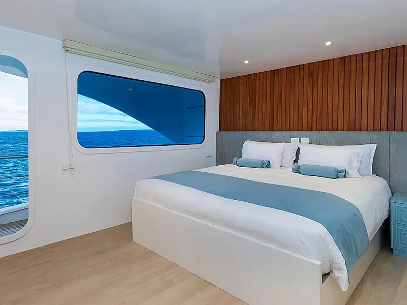 Power Catamaran (ID=14876)