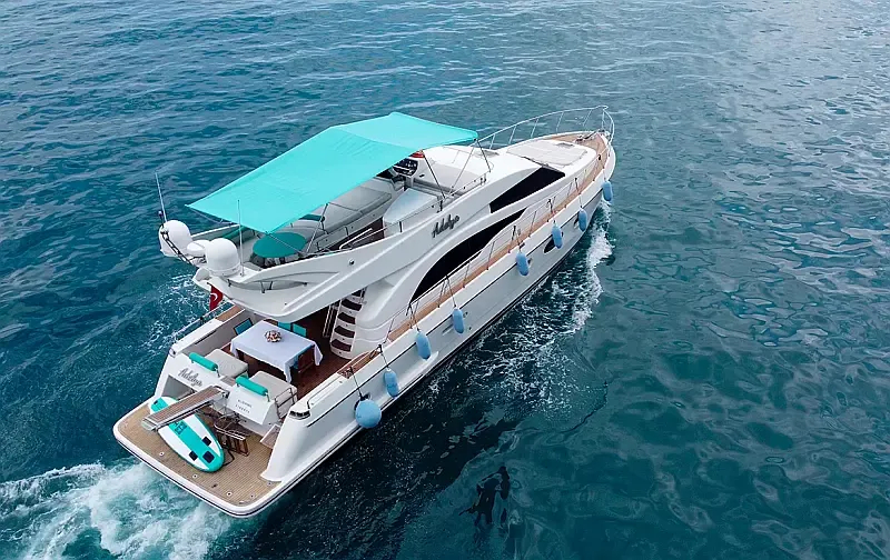 Leomar 59 (ID=15159) - фото 7