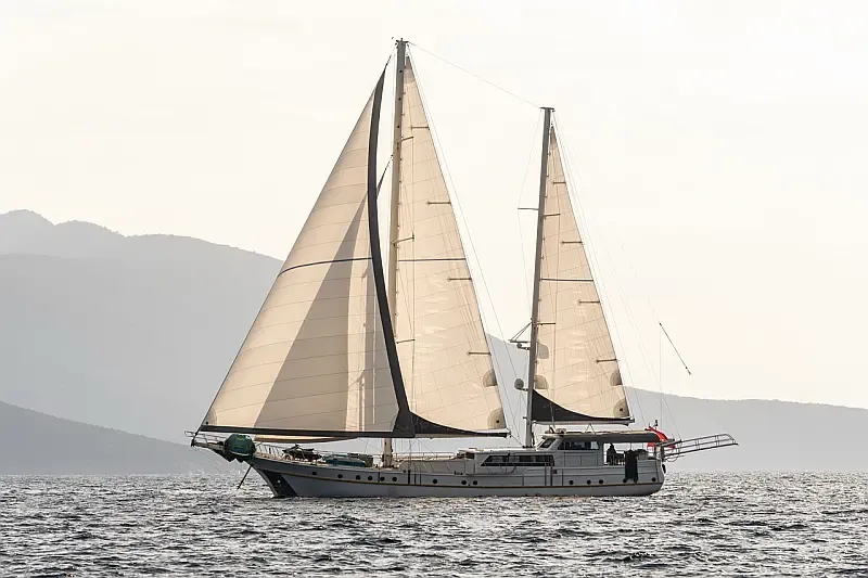 Custom built 183 (ID=15240) - фото 4