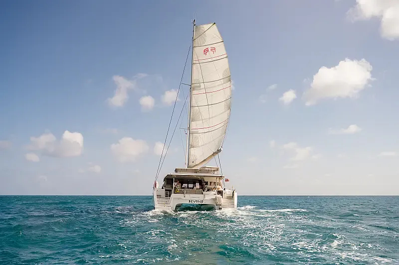 Aura 51 (ID=15426) - фото 4