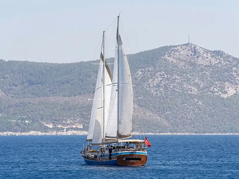 Custom built 183 (ID=15665) - фото 2