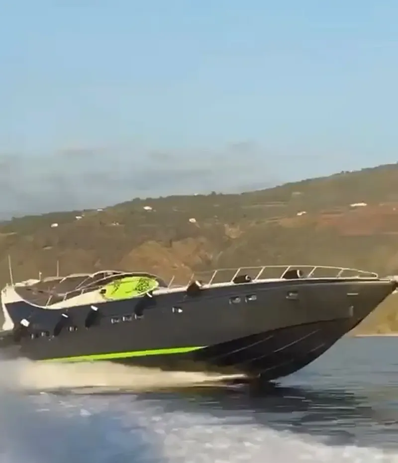 Mangusta 65 (ID=15925) - фото 4
