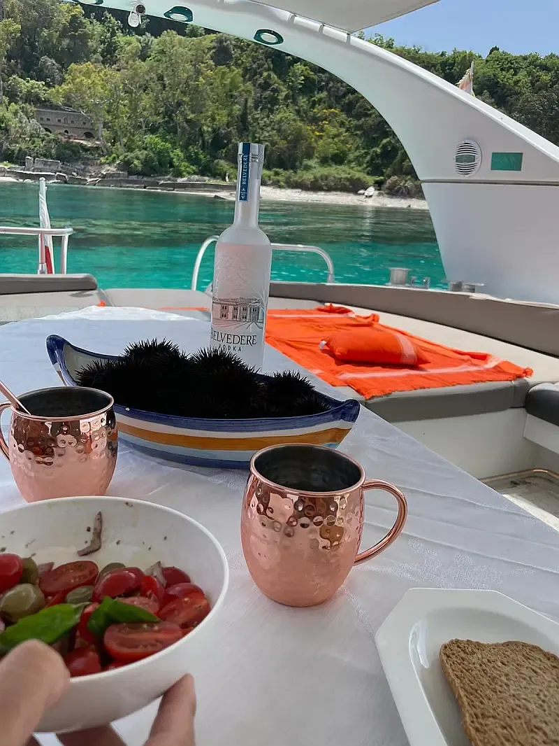 Mangusta 65 (ID=15925) - фото 8