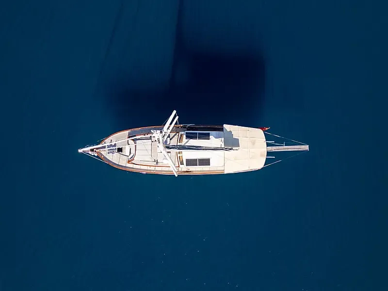 Custom built 183 (ID=15996) - фото 25