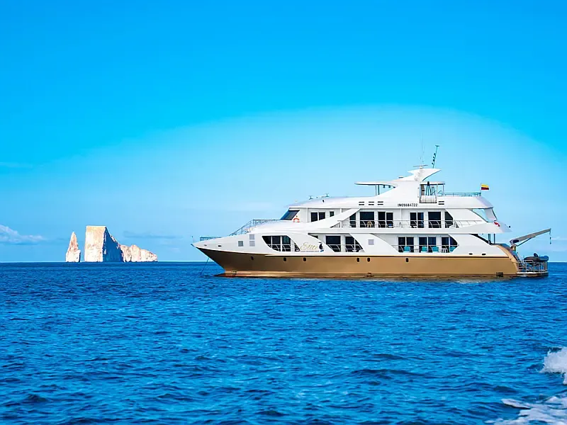 Power Catamaran (ID=16283) - фото 4