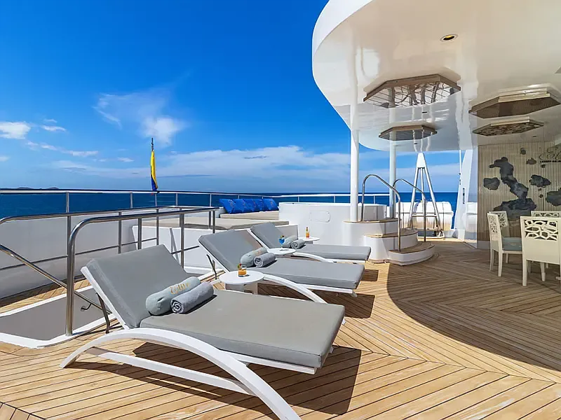 Power Catamaran (ID=16283) - фото 5