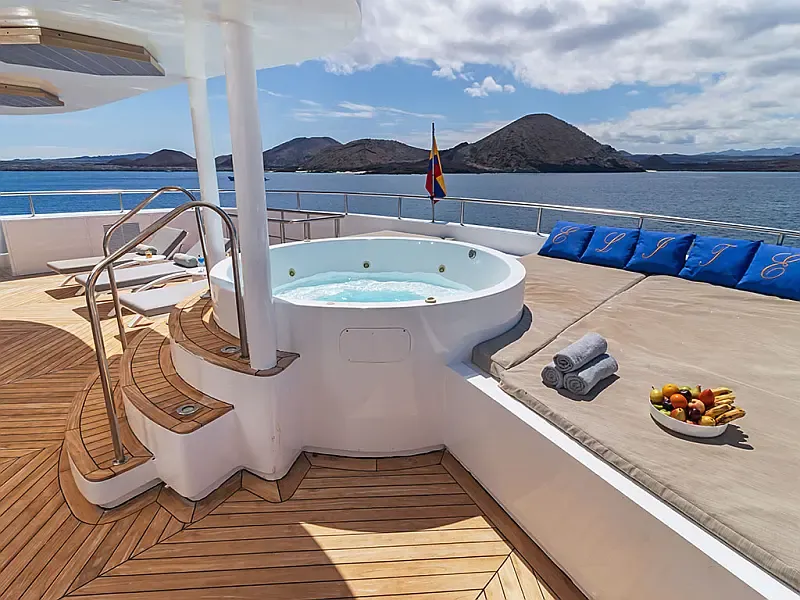 Power Catamaran (ID=16283) - фото 6