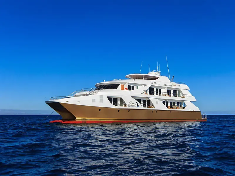 Power Catamaran (ID=16283)