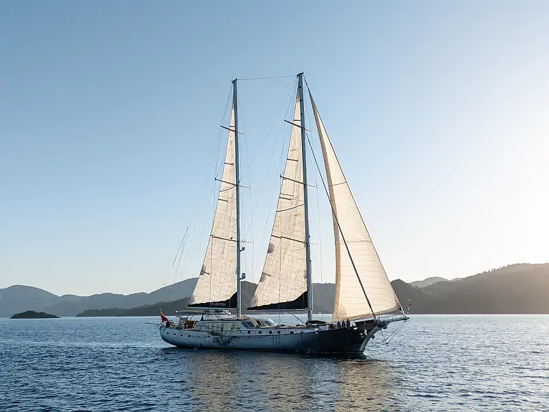 Custom built 183 (ID=16318)