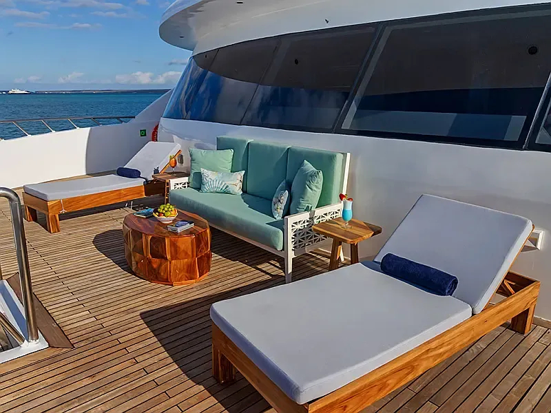 Power Catamaran (ID=16357) - фото 7