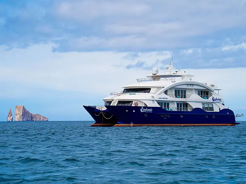 Power Catamaran (ID=16357) - фото 4