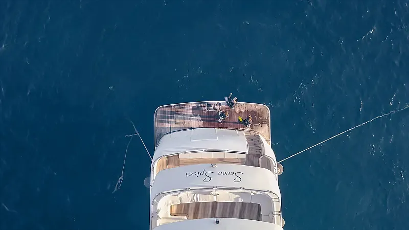 Luxury Motor Yacht (ID=16365) - фото 34