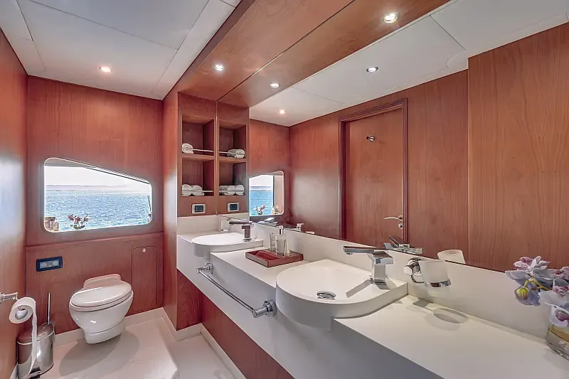 Luxury Motor Yacht (ID=16365) - фото 9