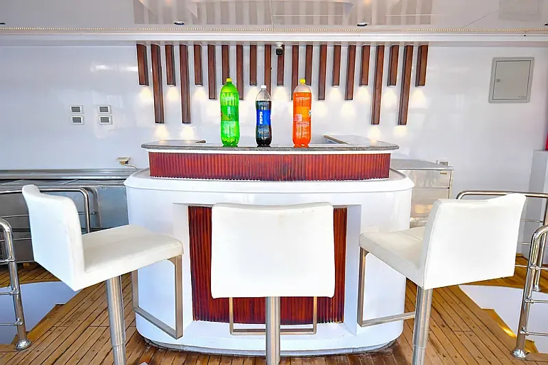 Luxury Motor Yacht (ID=16399) - фото 17