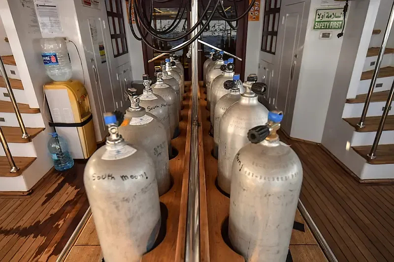 Luxury Motor Yacht (ID=16399) - фото 11