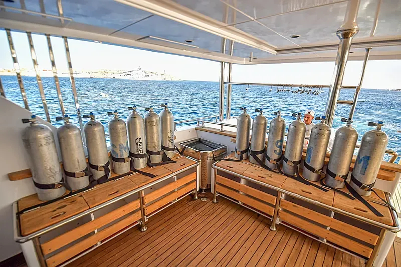 Luxury Motor Yacht (ID=16407) - фото 8