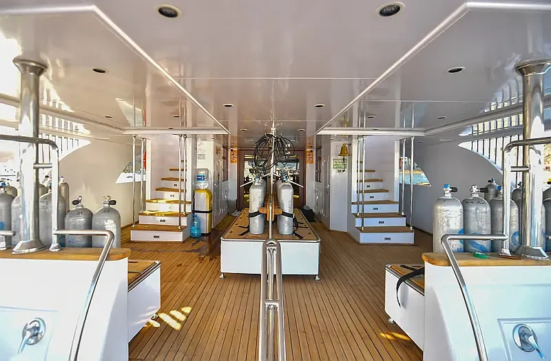 Luxury Motor Yacht (ID=16407) - фото 6