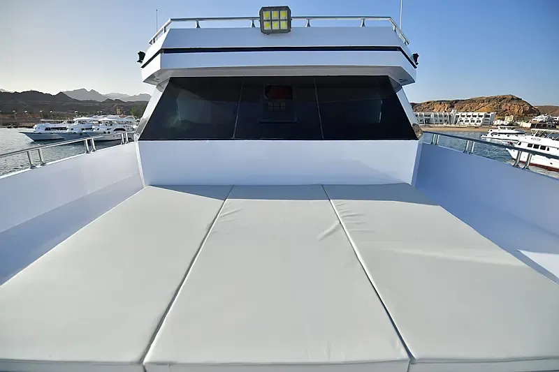 Luxury Motor Yacht (ID=16407) - фото 18