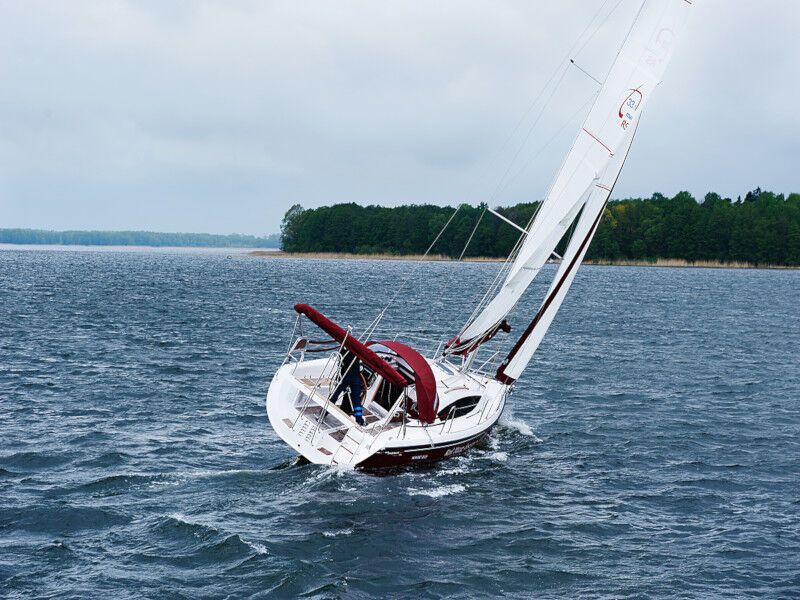 Maxus 33.1 RS Prestige (ID=165) - фото 6