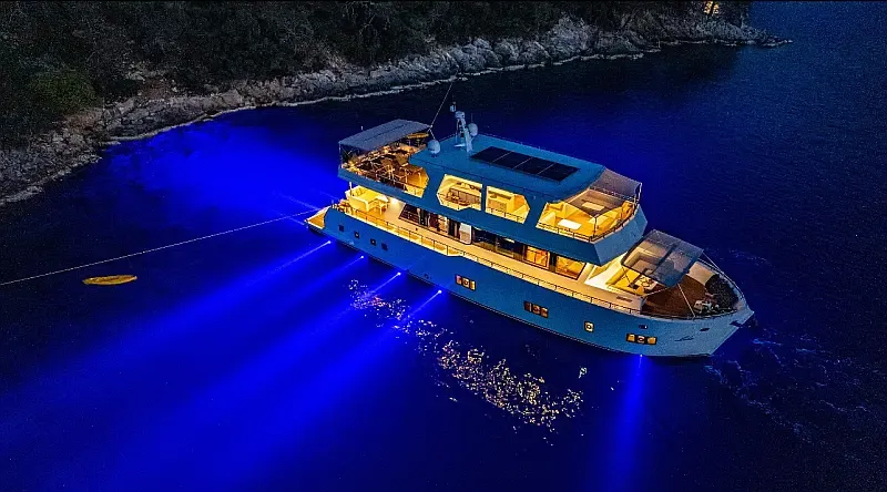 Motoryacht (ID=16648) - фото 22