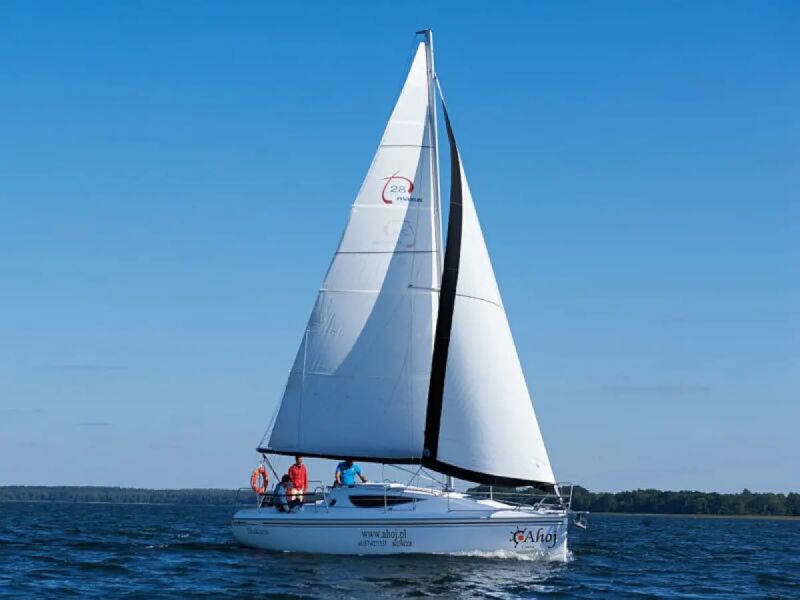 Maxus 28 Standard (ID=17) - фото 13