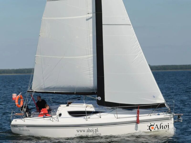 Maxus 28 Standard (ID=17) - фото 6