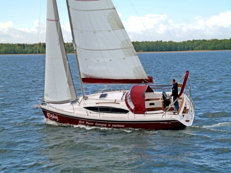 Maxus 33.1 RS Prestige (ID=170) - фото 8
