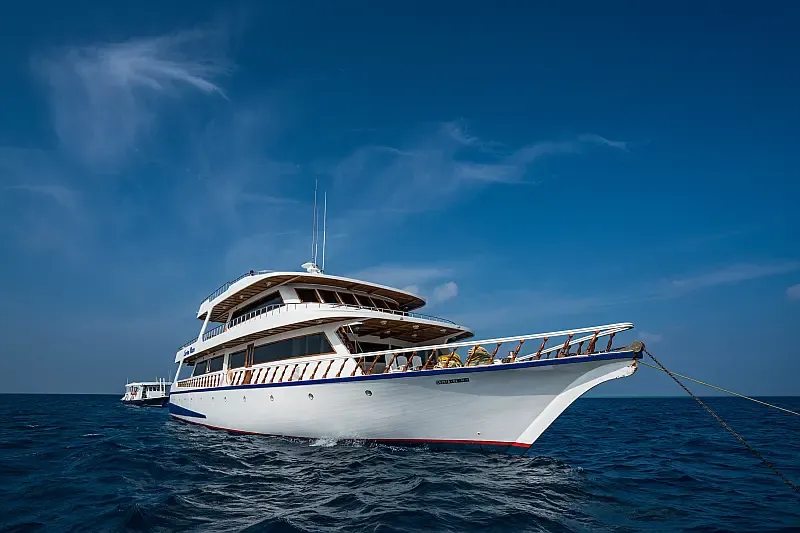 Motoryacht (ID=17363) - фото 4