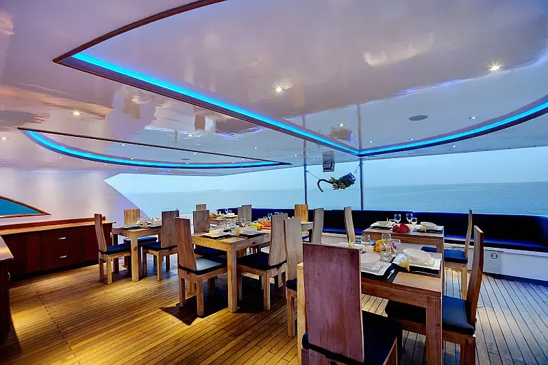 Motoryacht (ID=17365) - фото 19
