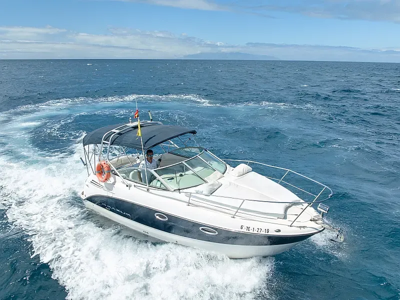 Motorboat (ID=17392)
