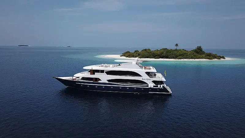 Motoryacht (ID=17469) - фото 6