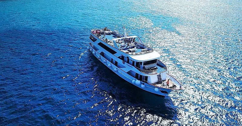 Motoryacht (ID=17475) - фото 14