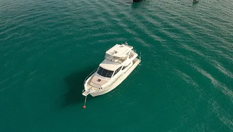Motoryacht (ID=17538) - фото 29