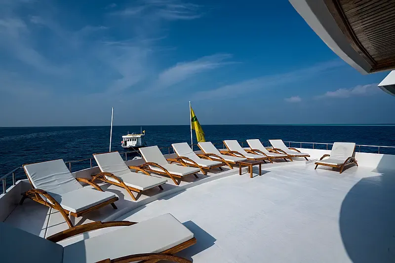 Motoryacht (ID=17585) - фото 11