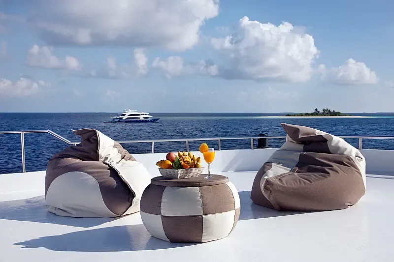 Motoryacht (ID=17806) - фото 13