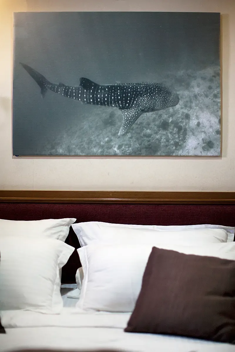 Motoryacht (ID=17806) - фото 17