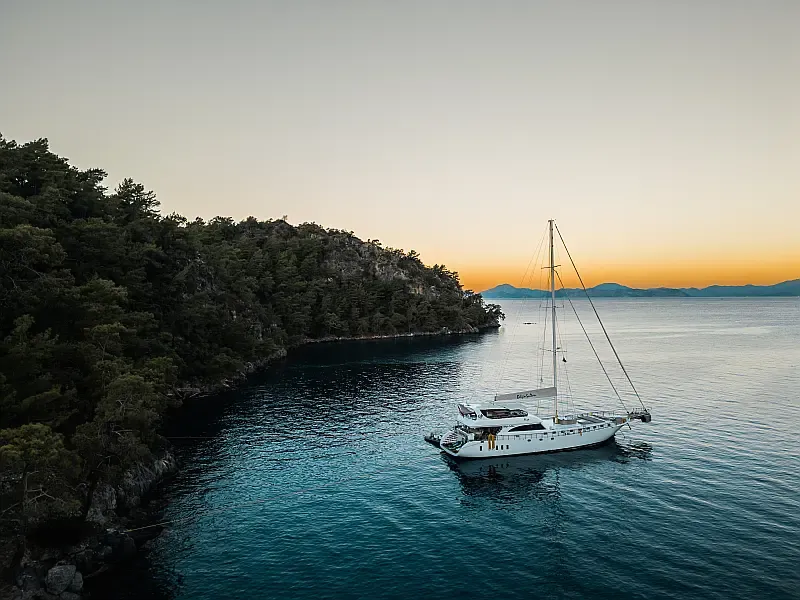 Motoryacht (ID=17965) - фото 21