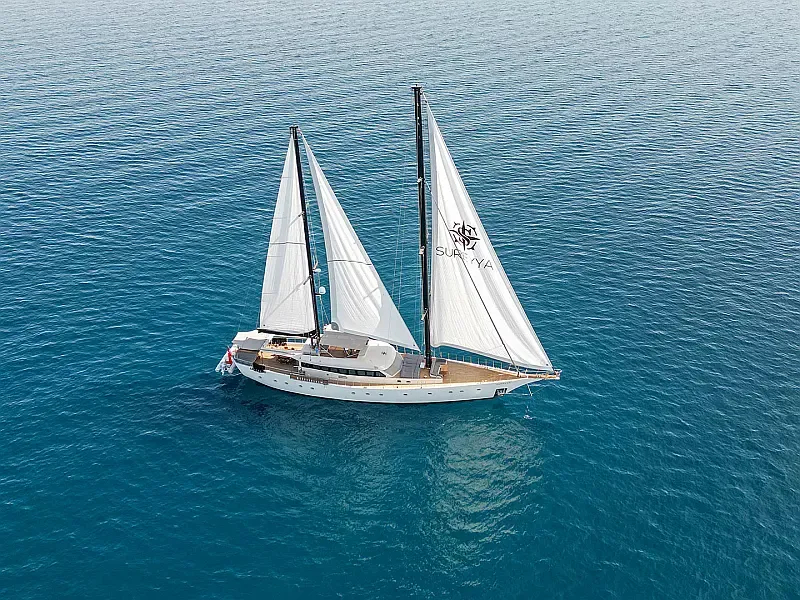 Motor sailer (ID=17966)