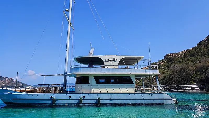 Catamaran (ID=18055) - фото 4