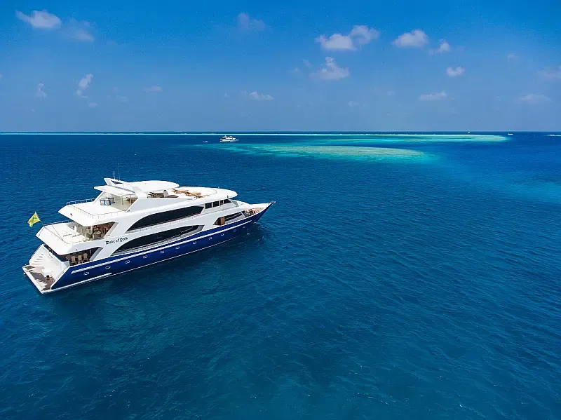 Motoryacht (ID=18078) - фото 4
