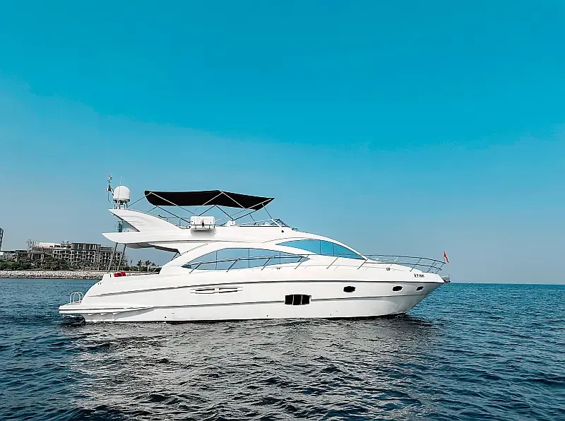 Luxury Motor Yacht (ID=18313) - фото 10