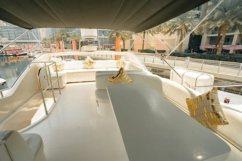 Luxury Motor Yacht (ID=18313) - фото 7