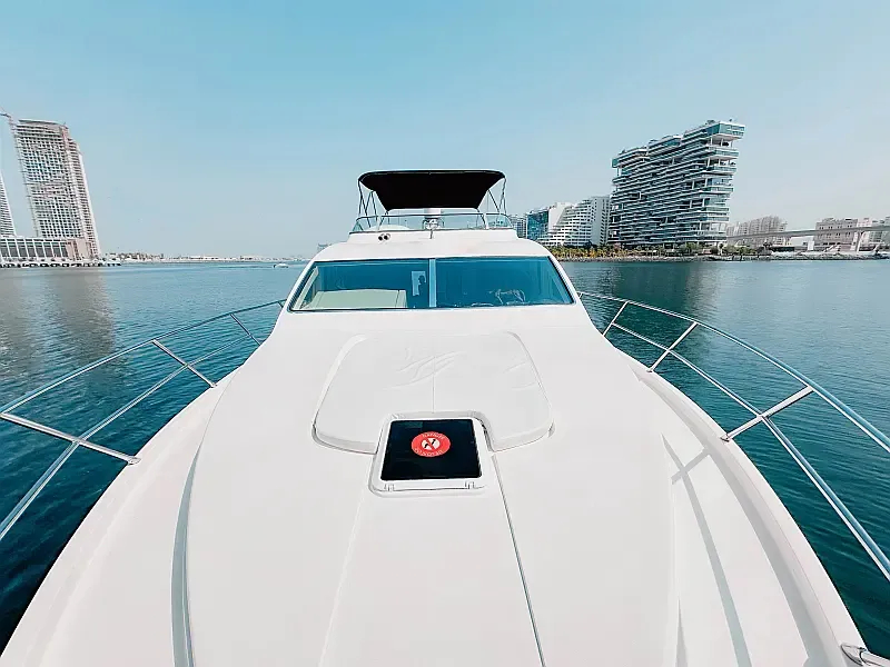 Luxury Motor Yacht (ID=18313) - фото 11
