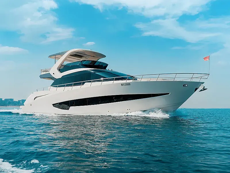Luxury Motor Yacht (ID=18315)