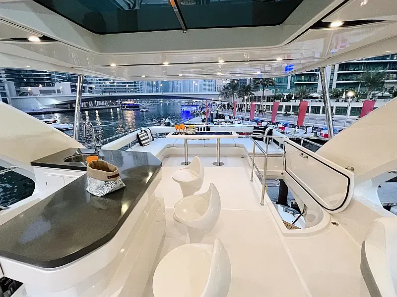 Luxury Motor Yacht (ID=18315) - фото 10