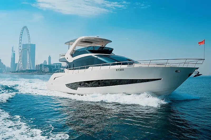 Luxury Motor Yacht (ID=18315) - фото 8