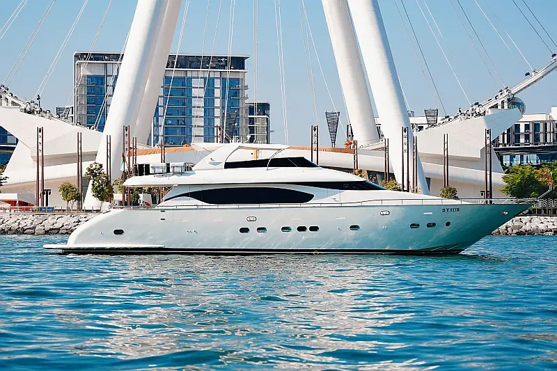 Luxury Motor Yacht (ID=18316) - фото 5