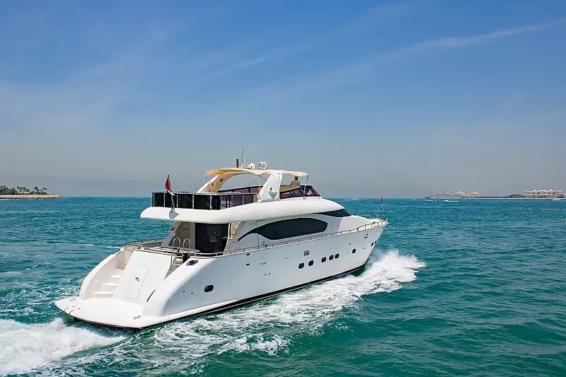 Luxury Motor Yacht (ID=18316) - фото 6